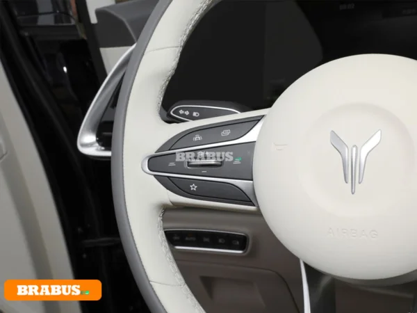 VOYAH-Dreamer-electric-vehicle-Central-control_2