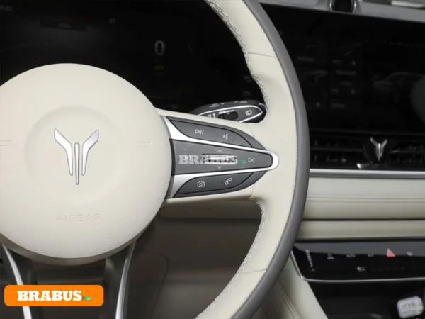 VOYAH-Dreamer-electric-vehicle-Central-control_3