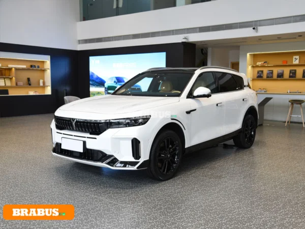 VOYAH-Vehículo eléctrico gratuito-Apariencia_1