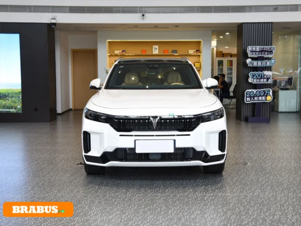 VOYAH-Vehículo eléctrico gratuito-Apariencia_2