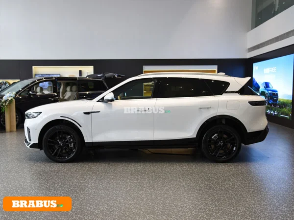 VOYAH-Vehículo eléctrico gratuito-Apariencia_4