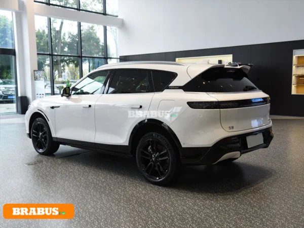 VOYAH-Vehículo eléctrico gratuito-Apariencia_5