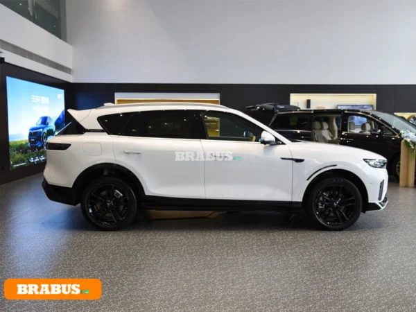 VOYAH-Vehículo eléctrico gratuito-Apariencia_8