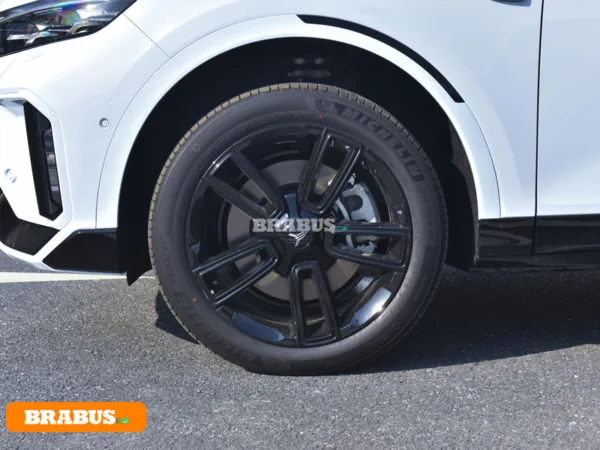 VOYAH-Vehículo eléctrico gratuito-Detalle_2