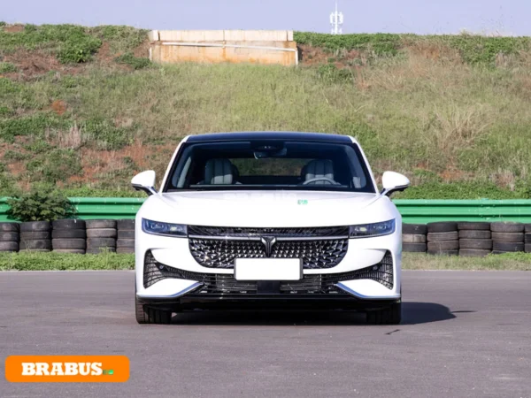 VOYAH-Passion-vehículo-eléctrico-Apariencia_2