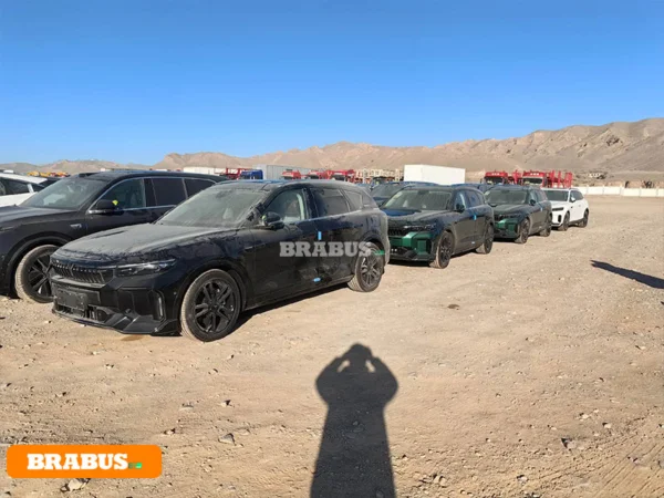 VOYAH-electric-vehicle-transport_5