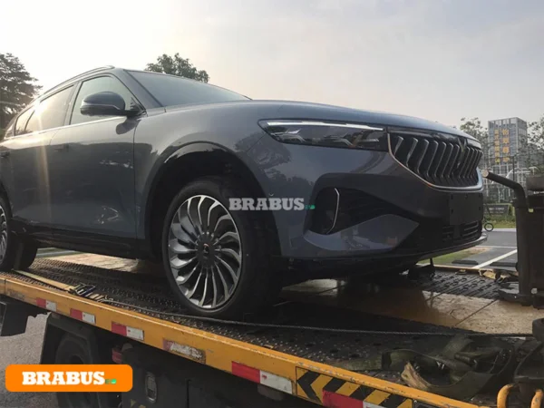 VOYAH-electric-vehicle-transport_7