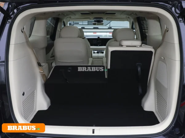 VPYAH-Dreamer-electric-vehicle-Space_6