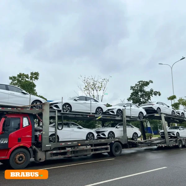 changan-electric-car-transport