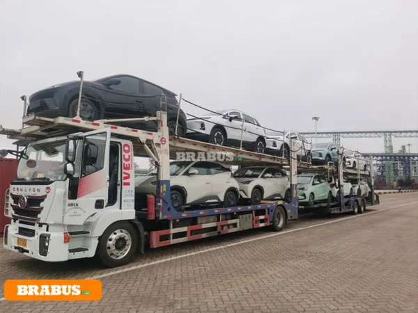 Leapmotor-electric-vehicle-transport_7