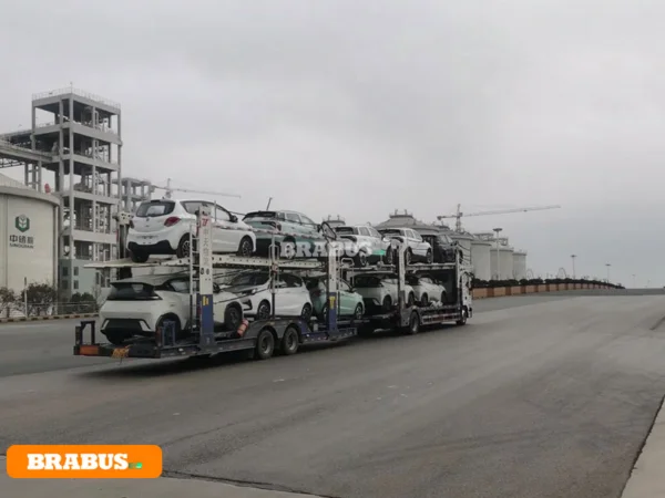 Leapmotor-electric-vehicle-transport_8